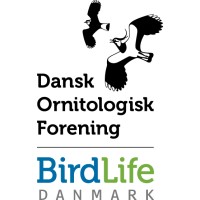 Dansk Ornitologisk Forening/BirdLife Danmark (DOF BirdLife) logo, Dansk Ornitologisk Forening/BirdLife Danmark (DOF BirdLife) contact details