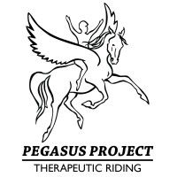 Pegasus Project logo, Pegasus Project contact details