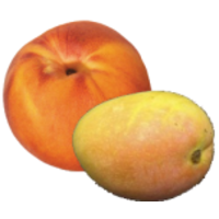 PeachyMango logo, PeachyMango contact details