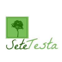 SeteTesta logo, SeteTesta contact details