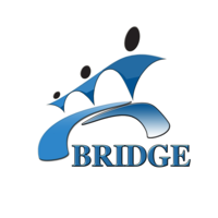 Bridge Mentorship logo, Bridge Mentorship contact details