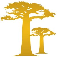 SENEGAL BAOBAB logo, SENEGAL BAOBAB contact details