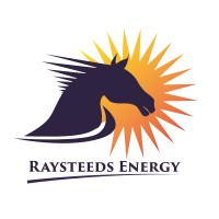 RAYSTEEDS ENERGY PRIVATE LIMITED logo, RAYSTEEDS ENERGY PRIVATE LIMITED contact details