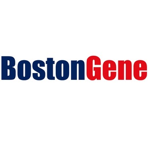 BostonGene logo, BostonGene contact details