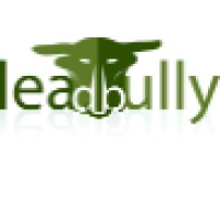 LeadBully.com logo, LeadBully.com contact details