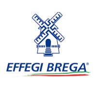 Effegi Brega Srl logo, Effegi Brega Srl contact details