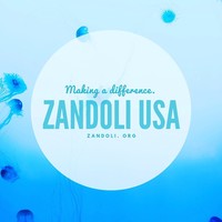 Zandoli USA logo, Zandoli USA contact details