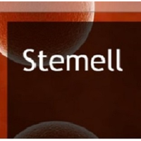 Stemell, Stem Cells for Your Future logo, Stemell, Stem Cells for Your Future contact details