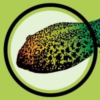 The Tadpole Repertory logo, The Tadpole Repertory contact details