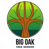 Big Oak Tree Service logo, Big Oak Tree Service contact details