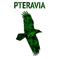 Pteravia LLC logo, Pteravia LLC contact details