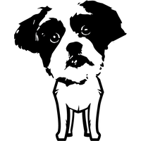 bobdog.company logo, bobdog.company contact details