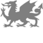 Dragon Solutions LTD logo, Dragon Solutions LTD contact details