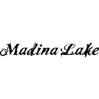 Madina Lake logo, Madina Lake contact details