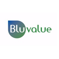 Bluvalue logo, Bluvalue contact details