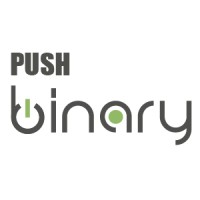 PushBinary logo, PushBinary contact details