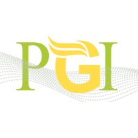 Power Grid Innovations Inc (PGI) logo, Power Grid Innovations Inc (PGI) contact details