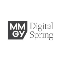 Digital Spring Ltd logo, Digital Spring Ltd contact details