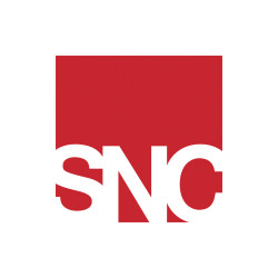 SN Consuting logo, SN Consuting contact details