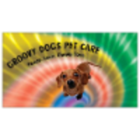 Groovy Dogs logo, Groovy Dogs contact details