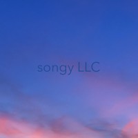 songy LLC logo, songy LLC contact details