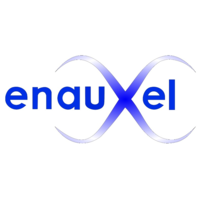 Enauxel S.r.l. logo, Enauxel S.r.l. contact details