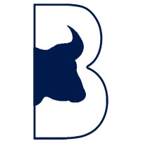 Blue Buffalo Consulting Ltd logo, Blue Buffalo Consulting Ltd contact details