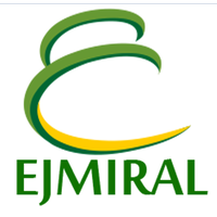 EJMIRAL Aviation Systems logo, EJMIRAL Aviation Systems contact details