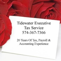 Tidewater Executive Tax Service logo, Tidewater Executive Tax Service contact details