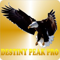 Destiny Peak Pro logo, Destiny Peak Pro contact details