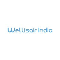 Wellisair India logo, Wellisair India contact details