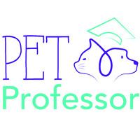 Pet Professor logo, Pet Professor contact details