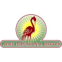 Aztec Professional Services logo, Aztec Professional Services contact details