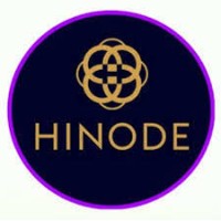 Grupo Hinode Paraguay - HND Paraguay logo, Grupo Hinode Paraguay - HND Paraguay contact details