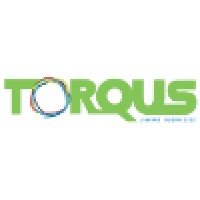 Torqus Systems Private Limited logo, Torqus Systems Private Limited contact details