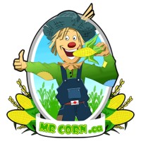 MrCorn ltd logo, MrCorn ltd contact details