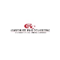 Corporate Risk Consulting, Inc logo, Corporate Risk Consulting, Inc contact details