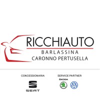 Ricchi Auto S.r.l. logo, Ricchi Auto S.r.l. contact details