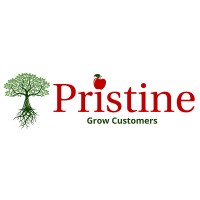 Pristine Infotech, Inc. logo, Pristine Infotech, Inc. contact details