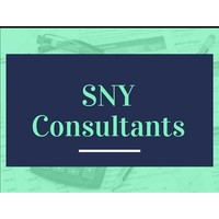 SNY Consultants Bangalore logo, SNY Consultants Bangalore contact details