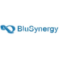 BluSynergy-India logo, BluSynergy-India contact details