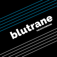 Blutrane Consulting Corp. logo, Blutrane Consulting Corp. contact details