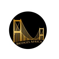 Bridges Africa logo, Bridges Africa contact details