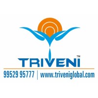 Triveni Global Private Limited India logo, Triveni Global Private Limited India contact details