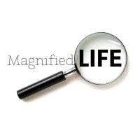 Magnified Life logo, Magnified Life contact details