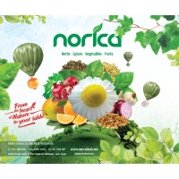 North Africa Co. for Food Industries (NORICA) logo, North Africa Co. for Food Industries (NORICA) contact details