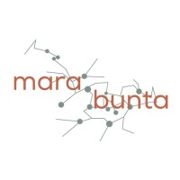 Marabunta Brasil logo, Marabunta Brasil contact details