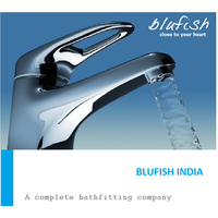 BLUFISH INDIA logo, BLUFISH INDIA contact details