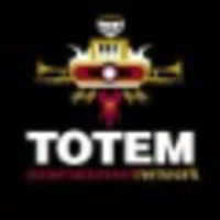 Totem Entertainment Network, LLC logo, Totem Entertainment Network, LLC contact details