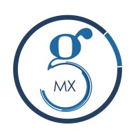 Go IT Mx logo, Go IT Mx contact details